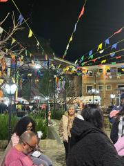 WhatsApp Image 2025-06-26 at 10.26.46
