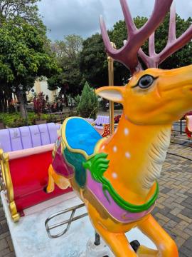 WhatsApp Image 2025-11-06 at 11.30.14