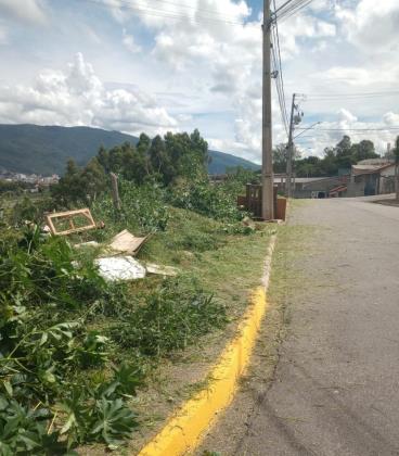 WhatsApp Image 2026-01-19 at 09.51.52