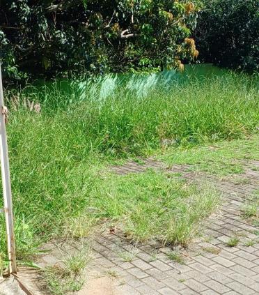 WhatsApp Image 2026-01-19 at 09.51.53