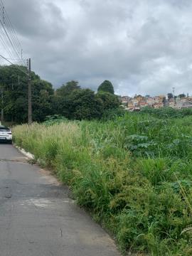 WhatsApp Image 2026-01-19 at 11.32.05