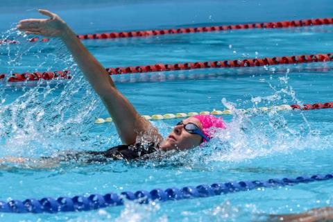 WhatsApp Image 2026-04-06 at 10.04.53 (1)