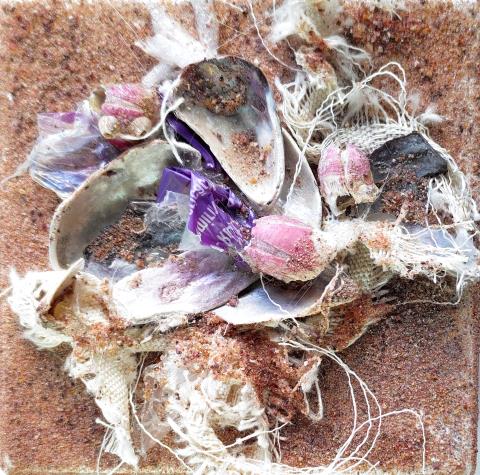 Área de Museus recebe exposição com obras de arte feitas a partir de materiais recolhidos em praias