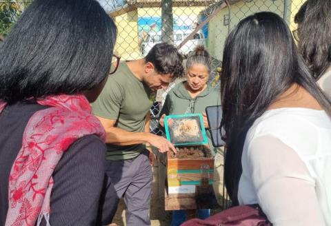 Visita da Estratégia Nacional Alimenta Cidades reforça políticas de segurança alimentar em Taubaté