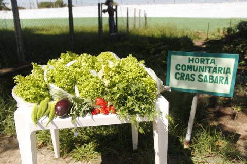 Cras Sabará realiza oficina de Horta Comunitária nesta terça-feira (17)