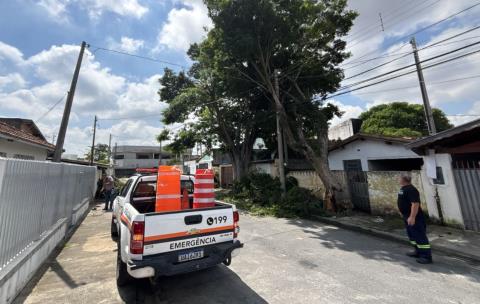 Prefeitura atende mais de 70 ocorrências após chuva com ventos superiores a 80km/h atingir Taubaté