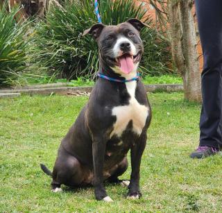 9e8d8948-60e9-43f0-82fa-163c980543c8