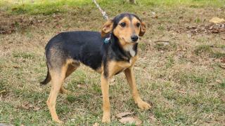 3e8e9541-5b9d-4358-beb0-a210b55de44f