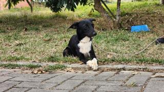 e16d5927-7bd4-4d20-982c-4932c7810787