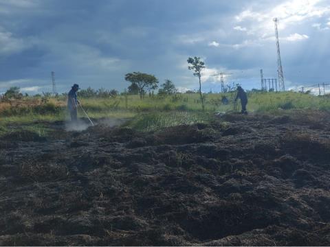 Defesa Civil de Taubaté combate incêndios em área de vegetação na avenida Dom Pedro I