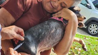 Prefeitura realiza ações de vacinação antirrábica para cães e gatos na parte alta de Taubaté
