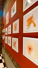 Galeria Mestre Justino recebe exposição ‘Territórios Inventados’, de Agis Variani