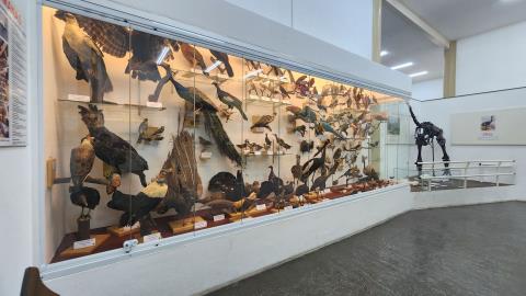 museu (3)