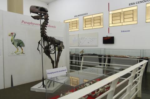 museu (4)
