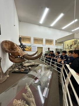 Projeto Museu-Escola (4)