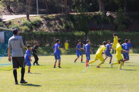 WhatsApp Image 2025-12-11 at 15.36.31