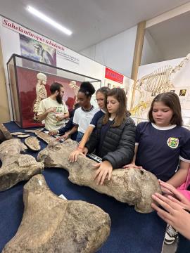 Projeto Museu-Escola (9)