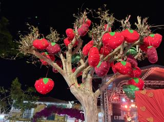 30ª Festa do Morango atrai cerca de 70 mil pessoas em três finais de semana (2)