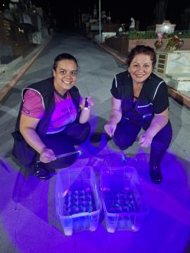 Vigilância Epidemiológica participa de capacitação para combate ao escorpião