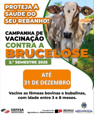 Brucelose