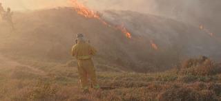 WhatsApp Image 2025-10-06 at 09.06.44