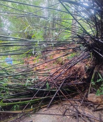 Chuvas provocam ocorrências em estradas e bairros de Monte Alegre do Sul (1)