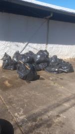 Prefeitura recolhe mais de 40 sacos de 100 litros em ação contra a dengue nas ruas e rodovias de Monte Alegre do Sul (2)