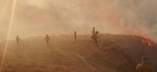 WhatsApp Image 2025-10-06 at 09.06.43