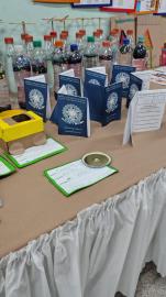 Feira Científico-Cultural da EMEB Antônio Bruno Daolio reúne alunos e famílias (3)