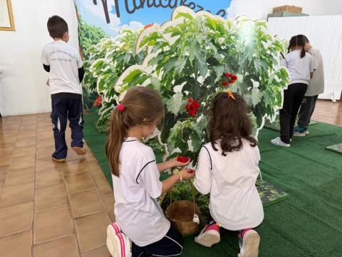 Projeto “Do Pé à Xícara” inicia atividades com alunos da rede municipal  (2)