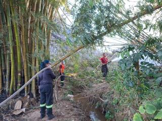 Incêndio atinge haras no bairro Furquilha e mobiliza equipes de emergência (2)