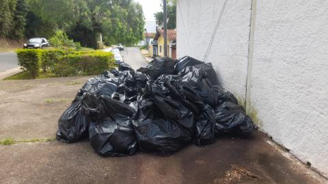 Monte Alegre do Sul zera casos de dengue em dezembro de 2025 (5)