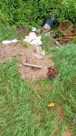 Prefeitura Municipal realizou ação de combate à dengue no sábado (3106)