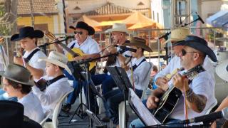 Festa do Morango (8)