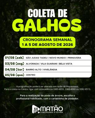 WhatsApp Image 2026-07-31 at 16.28.09