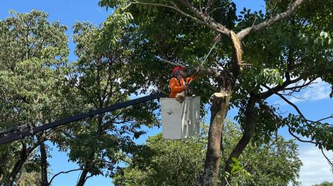 WhatsApp Image 2026-01-20 at 14.52.51 (2)