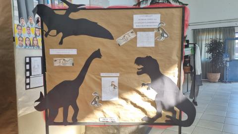 WhatsApp Image 2025-11-25 at 16.35.24 (1)