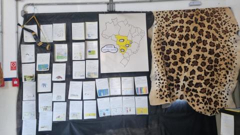 WhatsApp Image 2025-11-25 at 16.35.24 (3)