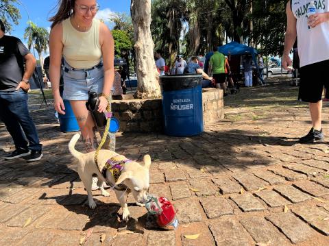 WhatsApp Image 2025-12-08 at 16.37.16