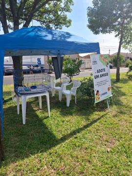 WhatsApp Image 2026-01-12 at 11.40.02 (1)