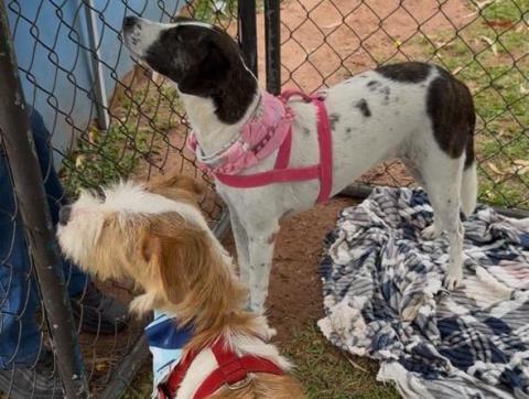 WhatsApp Image 2026-01-27 at 16.05.51 (1)