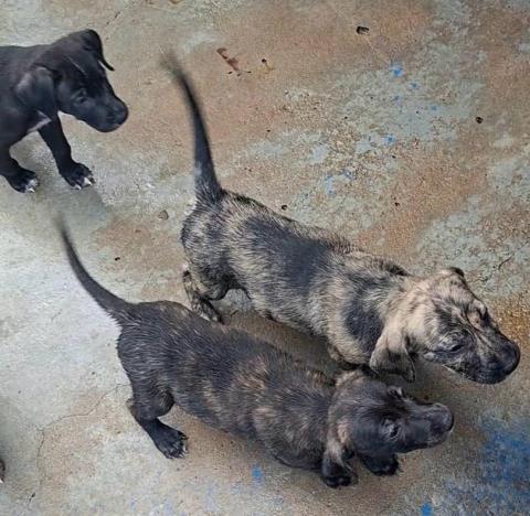 WhatsApp Image 2026-01-12 at 16.52.29