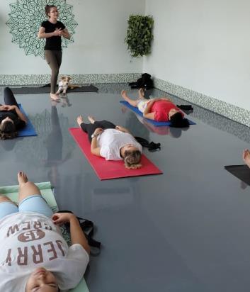 Aula de Yoga Canil