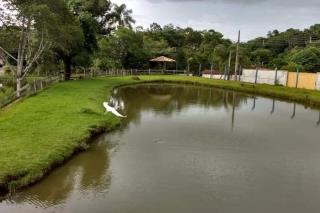 FB_IMG_1562769821367-900x600-1