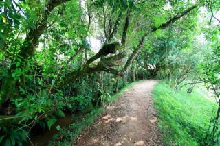 IMG_5463-900x600-1