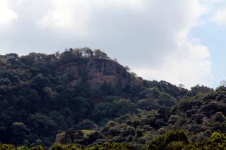 IMG_9086_02-scaled