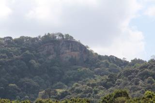 IMG_9086-scaled