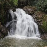 IMG_8796-150x150