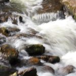 IMG_8781-150x150