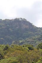 IMG_9089-scaled